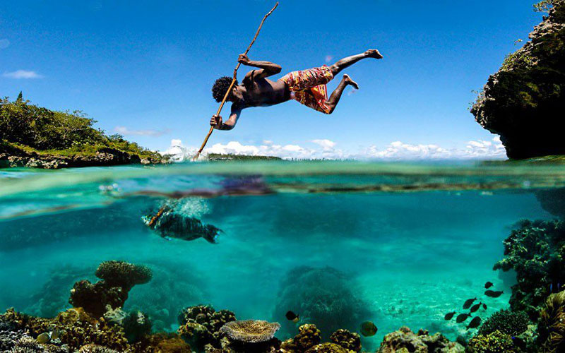 spear-fishing-perfect-timing
