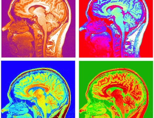 L’optogenetica in economia: è “utile” studiare il cervello?