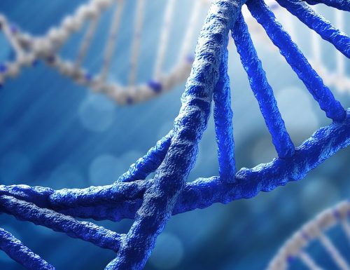 Il DNA è il nuovo archivio dell’umanità