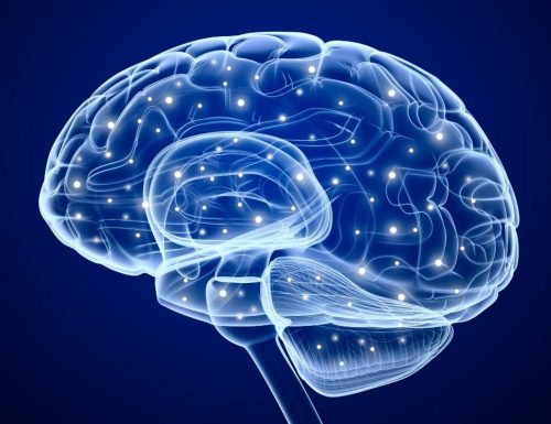 L’ultima frontiera della neuroscienza : il cervello umano digitale