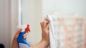 pulizia e addio definitivo delle formiche