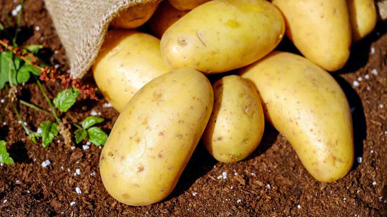 Come conservare le patate