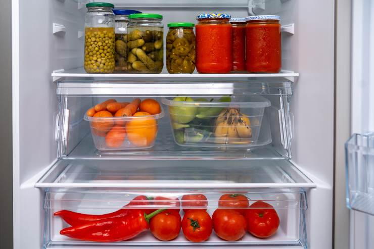frigo odori
