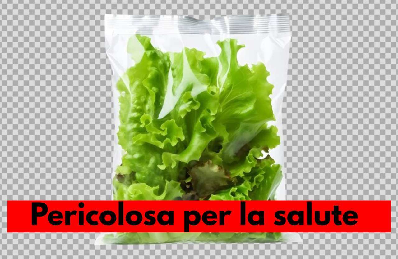 insalata in busta