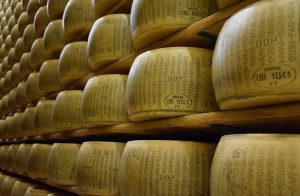 parmigiano muffa