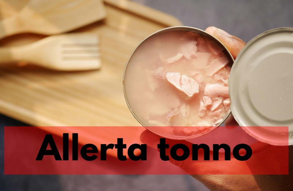allerta tonno