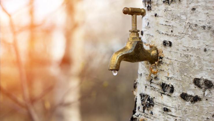 Controllare i rubinetti per evitare gli sprechi di acqua - pianoinclinato.it - 20250604