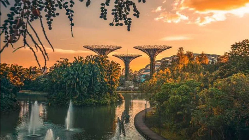 I Supertrees Doms di Singapore - pianoinclinato.it - 20250609