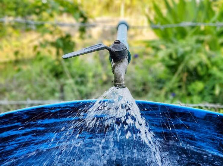 acqua