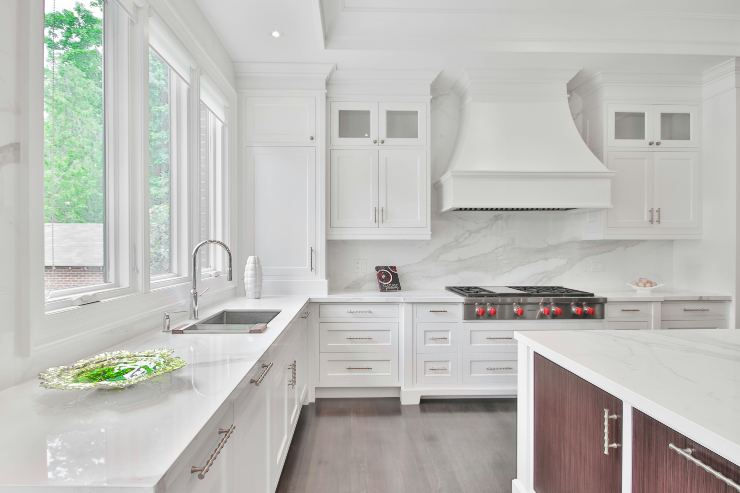 cucina formiche