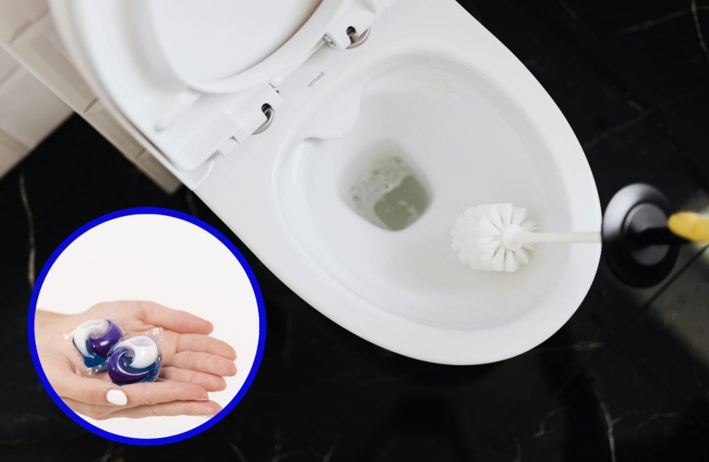 wc trucco