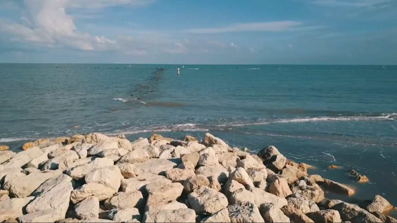 Punta Marina, ritrovati strani esseri sui fondali - adginforma.it - 20250701