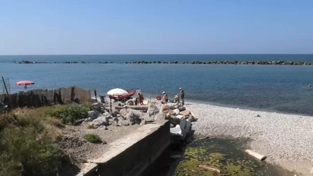 Allerta alga tossica sulle coste italiane: da nord a sud la mappa dell’invasione | I rischi per la salute