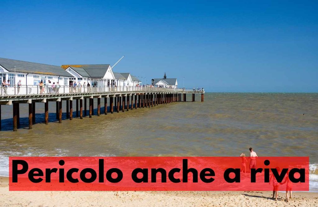pericolo mare squali