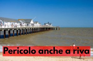 pericolo mare squali