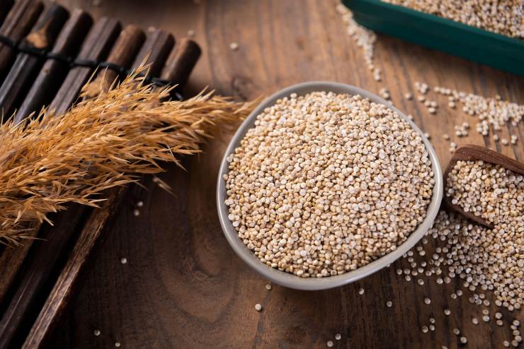 quinoa